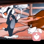 后知后觉的头像