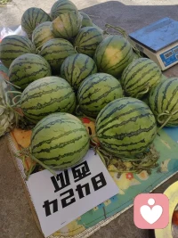 卖西瓜喽，快祝我大卖😃🙃😃配图
