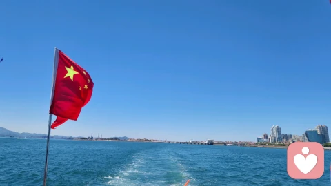 情绪树洞