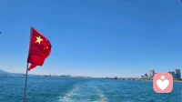 情绪树洞