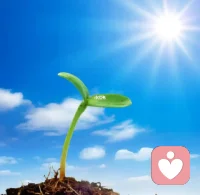 生活也许不会像你想的那么好，但也一定不会是你想的那么糟。用积极的心态去迎接每一天。配图