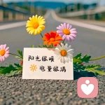 安然倾听的头像