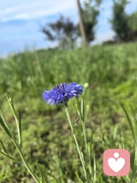 别人只是一面镜子，需要被拥抱的，一直都是你自己。