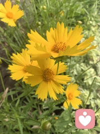 有时候，我们就是自己的绊脚石。如果我们能把自己从前路上挪开，奇迹就会发生。
