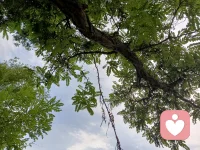 下午有点小困，以往都是在沙发上眯一会儿，可今天突然想在山上睡，二话不说直冲白塔山，吭哧吭哧爬上去，凭感觉走果然找到一个好地方，立刻躺下翘着二郎腿睡了一觉，神清气爽心胸宽广。果然只有我知道怎么宠自己，爽飞了配图