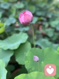心放空了 ，一切才能重新开始 
执念消失 云淡风轻