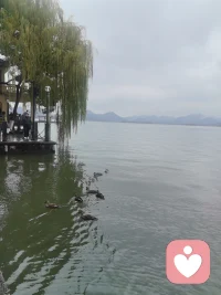 周末不赶路，只感受情绪。
不必假装坚强，有人认真听你说话。配图