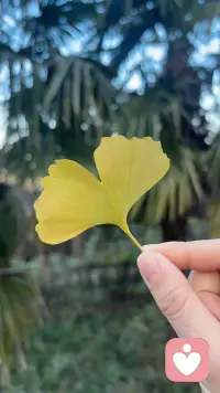 借一缕晴天暖意，接纳无处安放的委屈与纠结配图