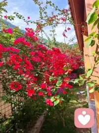 听懂言外之意，安抚心底情绪，陪伴本身就是一种力量。