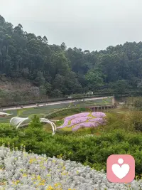 心事藏在日常里，说出来怕矫情，憋在心又烦闷，静静放空，慢慢抚平心绪。