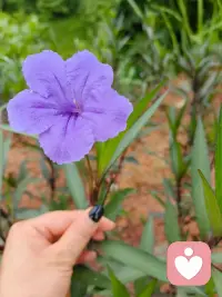 心事藏在日常里，说出来怕矫情，憋在心又烦闷，静静放空，慢慢抚平心绪。