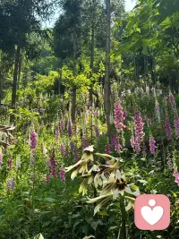 做专属情绪倾听树洞，接纳生活委屈、感情困惑、职场内耗、家庭琐事、心事迷茫。
耐心共情、严格保密，只做正规心理陪伴疏导，理性谈心、梳理烦恼。
⚠️低俗闲聊、暧昧擦边、越界话题一律不接，非正经倾诉请勿打扰，感谢理解。