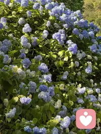 人人都需要一个不用小心翼翼说话的角落。
我是倾听师，不评判、不说教、不打断。
接纳你的崩溃，梳理杂乱心绪，陪你慢慢和糟糕的情绪和解。
私密倾诉，守好你的所有隐私。