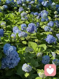 人人都需要一个不用小心翼翼说话的角落。
我是倾听师，不评判、不说教、不打断。
接纳你的崩溃，梳理杂乱心绪，陪你慢慢和糟糕的情绪和解。
私密倾诉，守好你的所有隐私。