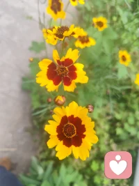 世间纷扰万千，心事总需归处。我愿静心聆听，陪你梳理情绪，安抚心绪。慢慢来，一切都会慢慢变好。