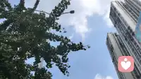 我一直都在 ，静听你的心声配图