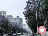 我一直都在 ，静听你的心声配图