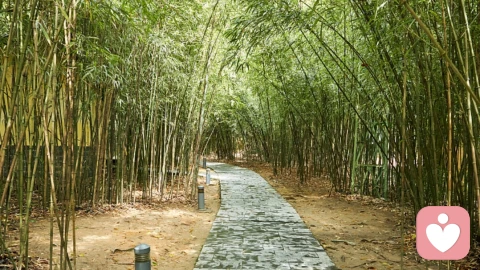 温柔治愈