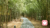 温柔治愈