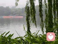 很多内耗，都来源于反复和已经发生的事较劲。
心里反复回放过往，纠结对错，消耗的却是当下的自己。
允许自己有情绪，不必强迫立刻变好。慢慢梳理，放下执念，才是对自己最大的善待🌿