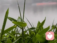 人最大的疲惫，不是身体累，是心里想太多。
很多烦恼，困住我们的不是事情本身，是我们看待事情的想法。
如果你正陷在内耗焦虑里，不必一个人硬扛，倾诉本身就是一种治愈。