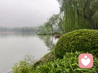 人最大的内耗，往往来自和自己较劲。
总纠结已经发生的遗憾，总焦虑还没有到来的未来，反复在脑海里回放各种假设，精神被一点点掏空。
 
不必要求自己时刻状态在线，允许偶尔低落、允许做事失手、允许暂时停滞不前。
情绪没有对错，低落也不是缺陷。好好看见自己的疲惫，比一味逼自己强大更重要。
稳住内心节奏，慢慢来，也是一种优秀。