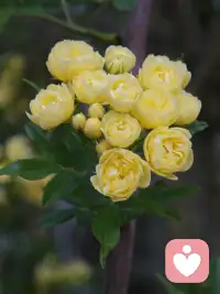 不要被定义，因为你可以更好