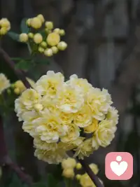 放下执念，放过自己，不和过往纠缠，不和内耗对抗。好好生活，慢慢自愈。