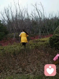 心事有处安放，
情绪有人倾听。
愿你晨起无忧，内心向阳