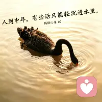 鹅语心事02
 
就从这只独临水里的黑天鹅说起。

水面很静，黑天鹅独自低着头，像在寻找什么，又像在躲开什么。
 
人到中年，有时候心里也像这一湖水，表面看着平静，底下却藏着很多说不出口的牵挂。
 
孩子长大了，去了外地，有了自己的生活。明明心里很惦记，拿起手机，却不知道该说些什么。
 
怕问多了是打扰，怕说多了是压力，怕自己的关心，在对方那里变成负担。
 
慢慢地，话越来越少，沟通也变得不那么顺畅。
 
也许不是谁错了，只是大家都站在了不同的人生阶段里。
 
父母想靠近，孩子想逃离；父母想关心，孩子想证明自己已经长大。
 
很多时候，我们不是不爱，而是不知道该怎么好好说话。
 
看着这只黑天鹅，忽然觉得它很像一些中年人的心事。
 
外表安静，内心却有很多起伏。
 
想被理解，又不想被看穿；想倾诉，又怕没人真正懂。
 
如果你也有过这样的时刻：
惦记远方的孩子，却不知道怎么开口；
明明很爱，却总是聊不到一起；
心里压着很多话，最后还是选择了沉默。
 
没关系，你可以慢慢说。
 
这里不是评判，只是安静地听。
 
#中年心事 #亲子关系 #沟通困境 #父母与孩子 #情绪树洞 #鹅语心事