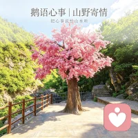 鹅语心事｜山野寄情
    今天忙里偷闲去山里转了一圈，一树繁花，一溪流水，满眼绿意。
 
置身山野才发觉，山水总能抚平人心的焦躁。只是生活里诸多心结，婚姻、相处、心底积攒的情绪，很难靠风景彻底释怀。
 
人这一生，总需要一处可以放心吐露心事的角落。心里有解不开的烦闷，欢迎慢慢讲出来。
 
#鹅语心事 #情绪倾听 #生活感悟