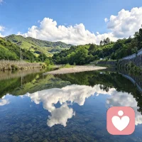 鹅语心事｜山野寄情
    今天忙里偷闲去山里转了一圈，一树繁花，一溪流水，满眼绿意。
 
置身山野才发觉，山水总能抚平人心的焦躁。只是生活里诸多心结，婚姻、相处、心底积攒的情绪，很难靠风景彻底释怀。
 
人这一生，总需要一处可以放心吐露心事的角落。心里有解不开的烦闷，欢迎慢慢讲出来。
 
#鹅语心事 #情绪倾听 #生活感悟
