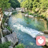 鹅语心事｜山野寄情
    今天忙里偷闲去山里转了一圈，一树繁花，一溪流水，满眼绿意。
 
置身山野才发觉，山水总能抚平人心的焦躁。只是生活里诸多心结，婚姻、相处、心底积攒的情绪，很难靠风景彻底释怀。
 
人这一生，总需要一处可以放心吐露心事的角落。心里有解不开的烦闷，欢迎慢慢讲出来。
 
#鹅语心事 #情绪倾听 #生活感悟