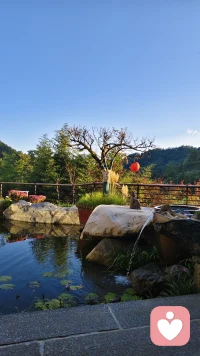 鹅语心事

这两日出门散心，置身山野之间。

    清风拂过芦苇，池塘静浮莲影，远山绵延，云朵悠然。静坐于此，山风徐徐扑面而来，望着眼前开阔景致，心头万千心事仿佛一扫而光。
 
心底积攒的委屈与烦恼，被连绵山峰温柔接纳，慢慢抚平内心的忧伤。
 
     生活里难免遭遇夫妻隔阂、亲子矛盾、家庭内耗，万千情绪堵在心口，难以释怀。

     倘若你被心事缠绕，渴望有人好好诉说。我的倾听如同徐徐山风，不急不躁，陪你一点点梳理思绪，一同寻一份内心的安稳。