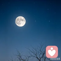 做线上倾听快三个月，看到同行亮眼的数据，心里会羡慕，也会不甘心。
一会儿想开，一会儿又纠结，反复来回拉扯。
 
学习ACT才慢慢懂得：接纳，不是要我完全没有失落与不甘。
而是承认情绪就在这里，可不甘心也改变不了不受自己掌控的现实。
不必强迫自己消除感受，不和现实对抗，把精力放回自己可以把握的部分。
别人有别人的奔跑速度，我守好属于自己的节奏就好✨