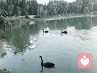 我们总以为疗愈，就一定要深挖内心的褶皱。
其实有些疗愈，就藏在轻松平和的交谈里。
彼此分享烟火日常，思想轻轻碰撞，没有压力，不必设防。
人和人之间这份同频的懂得，本身就拥有安抚心灵的力量。