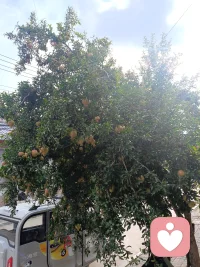停号好久了，消极的情绪已经梳理完毕。可能某个瞬间心里还会隐隐作痛，但是算了…时间可以治愈一切。久了就不会那么疼了。离开不需要勇气，也不用做太多的心里建设，只要努力去找对方的缺点就好了。最受不了哪点就把哪点无限放大，然后，学会自私一点！