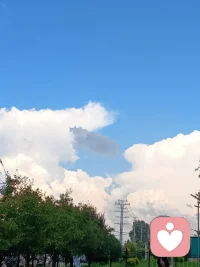 今天把他的联系方式都彻底拉黑了，以后不念不见！配图