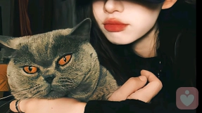 安