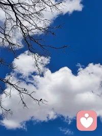失业了，但是工作不是生活的全部，看到我还有什么，能做什么，而不是只看到自己失去了什么。过好当下的每一天，生活值得敬畏与珍惜！