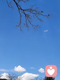 失业了，但是工作不是生活的全部，看到我还有什么，能做什么，而不是只看到自己失去了什么。过好当下的每一天，生活值得敬畏与珍惜！
