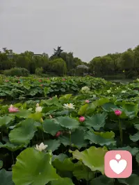 人这一生，能真正救赎自己的，从来都只有自己。
身处低谷受尽煎熬的时候就会发现，再多的亲情，友情，爱情，
都只能陪你一程，却渡不了你一生。
真正能帮你熬过所有苦难，稳住心神的，是内心沉淀下来的通透与从容，是凡事向内观照的清醒，
更是在绝望谷底，悄悄生根发芽的自愈本心。
世间所有的烦恼枷锁，说到底，都是心中的执念与虚妄。
放下杂念，解开心中束缚，慢慢沉淀，默默自愈，
你终会跨过风雨，遇见最本真，最安稳的自己。配图