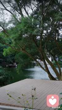 人这一生，能真正救赎自己的，从来都只有自己。
身处低谷受尽煎熬的时候就会发现，再多的亲情，友情，爱情，
都只能陪你一程，却渡不了你一生。
真正能帮你熬过所有苦难，稳住心神的，是内心沉淀下来的通透与从容，是凡事向内观照的清醒，
更是在绝望谷底，悄悄生根发芽的自愈本心。
世间所有的烦恼枷锁，说到底，都是心中的执念与虚妄。
放下杂念，解开心中束缚，慢慢沉淀，默默自愈，
你终会跨过风雨，遇见最本真，最安稳的自己。配图