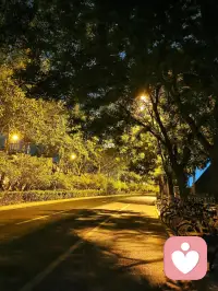 以前喜欢一个人，现在喜欢一个人