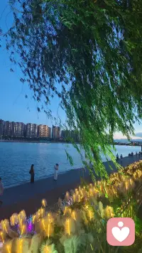 你不是想法，而是观察想法的觉知。
你不是情绪，而是容纳情绪的空间。
你不是躯体，而是赋予躯体生机的本心。