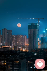 本来无一物，何处惹尘埃