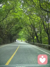 不高估感情，也不低估人性，向阳而生，不卑不亢。配图