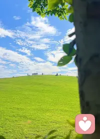 有些话无人可说，有些人无话可说，懂比爱更重要。配图
