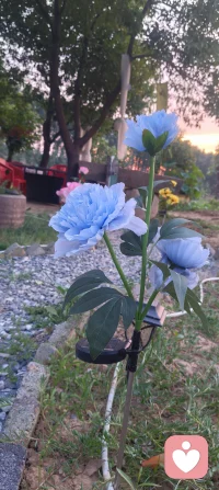 生活不是赶路，而是感受路。在细碎的日常里，找到属于自己的节奏，爱自己，是终身浪漫的开始。