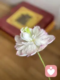 未曾相逢先一笑，初会便已许平生